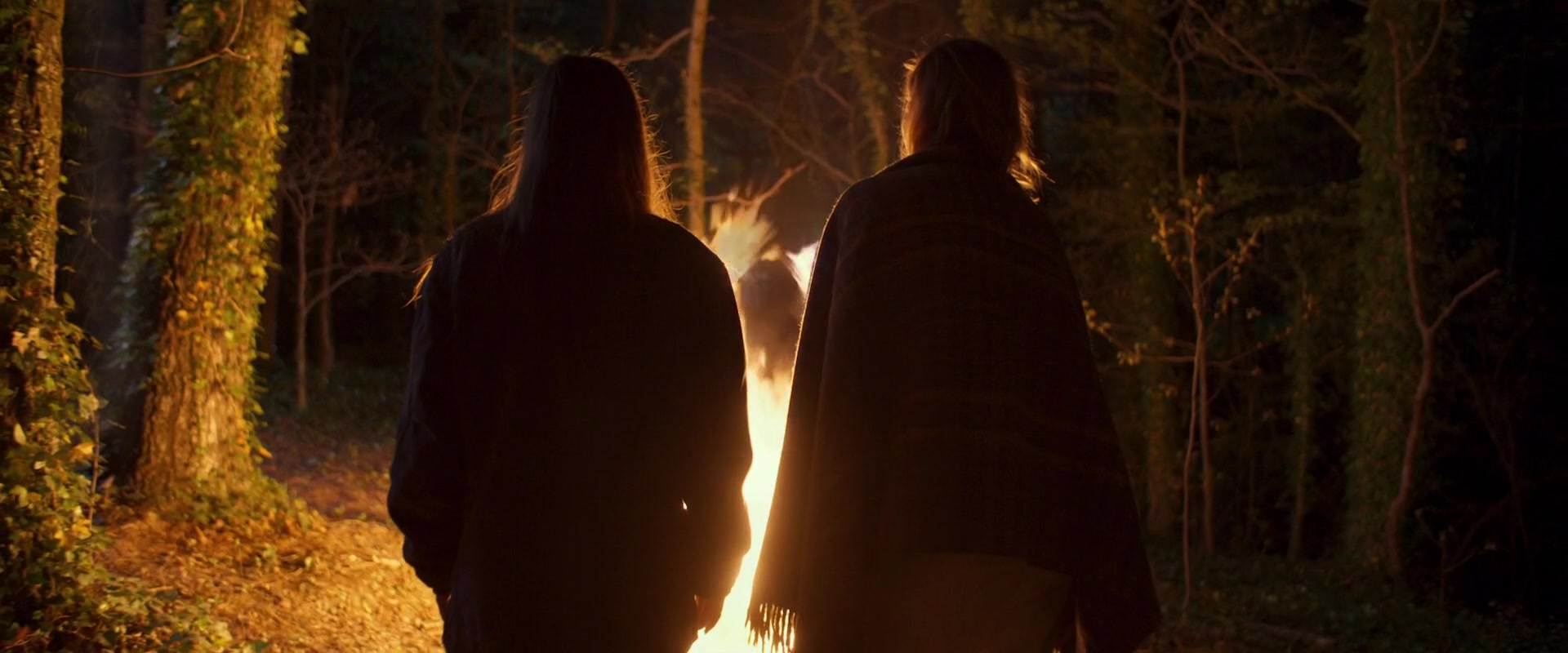 Inheritance_2020_1080p_28158029.jpg