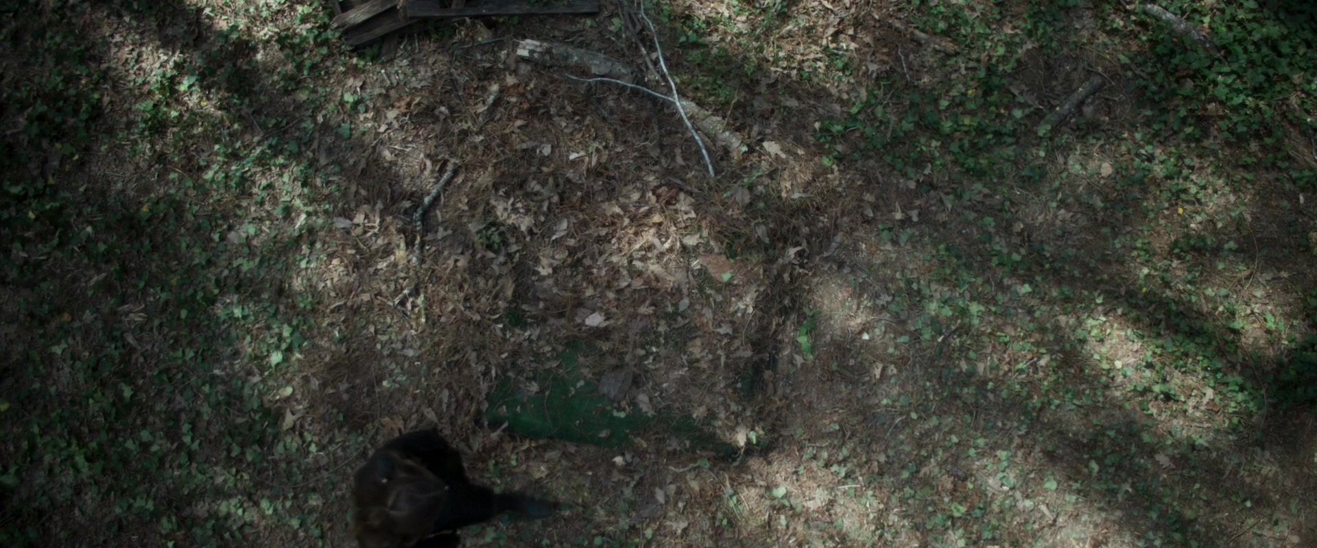 Inheritance_2020_1080p_2825929.jpg