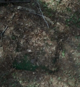 Inheritance_2020_1080p_2825829.jpg