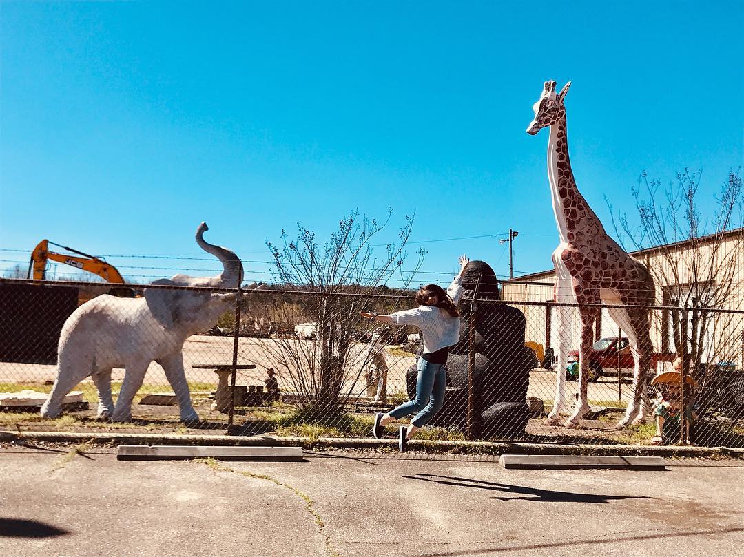 2019-03-20_15_33_05_2003927418588154315_666908117.jpg