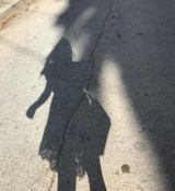 2019-07-30_18_10_53_2099677234941389964_666908117.jpg