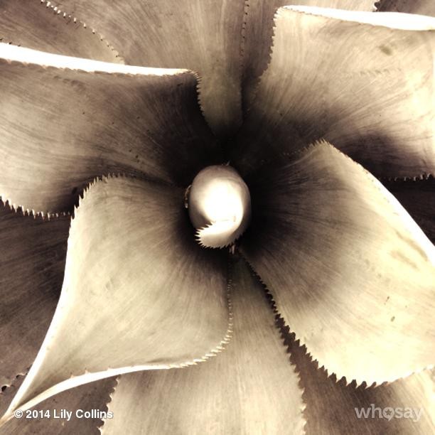 2014-03-03_22_51_22_668386337253014240_666908117.jpg 2014-03-03_22_51_22_668386337253014240_666908117.jpg