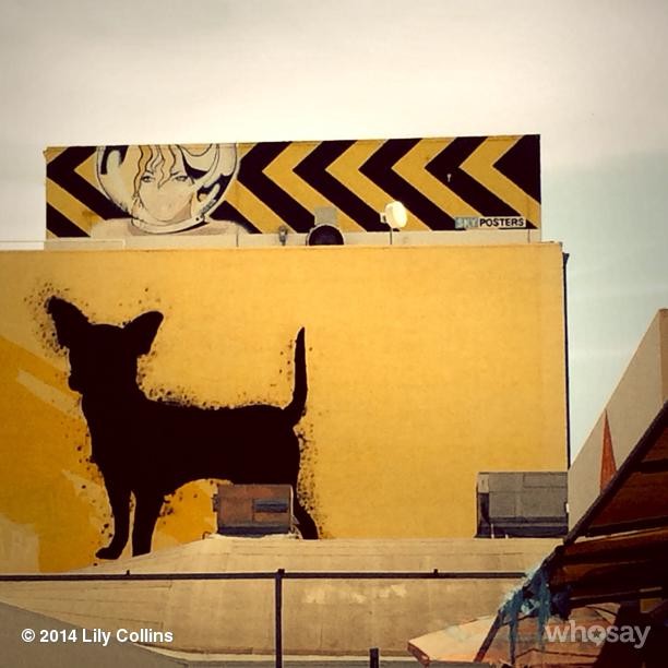 2014-05-18_15_18_23_723241304174147638_666908117.jpg 2014-05-18_15_18_23_723241304174147638_666908117.jpg