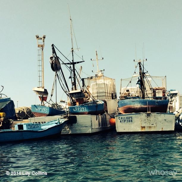 2014-08-04_13_50_29_779729569177450886_666908117.jpg 2014-08-04_13_50_29_779729569177450886_666908117.jpg