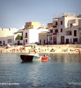 2014-08-03_15_00_35_779040071678475108_666908117.jpg