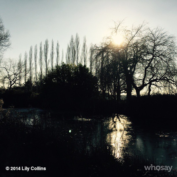2014-12-29_10_33_46_886172589304625937_666908117.jpg 2014-12-29_10_33_46_886172589304625937_666908117.jpg