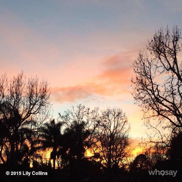 2015-01-30_22_34_07_909727975001340752_666908117.jpg 2015-01-30_22_34_07_909727975001340752_666908117.jpg