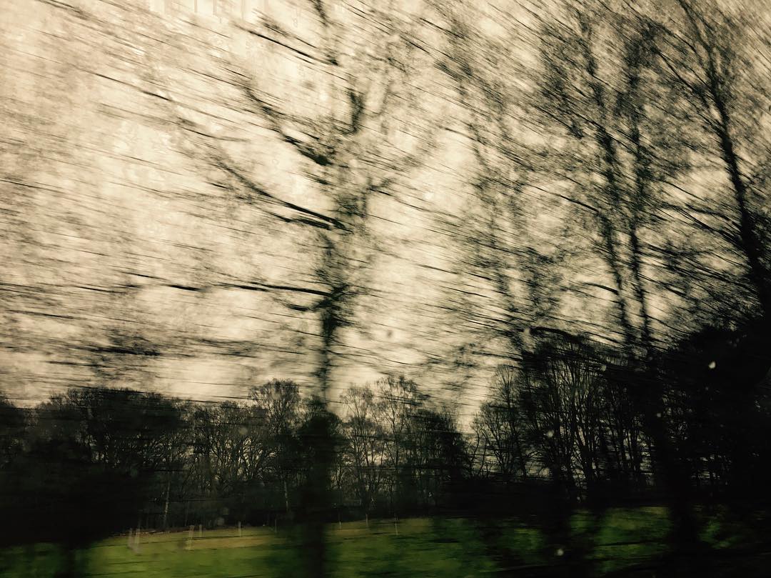 2016-12-19_12_59_43_1408809352793613126_666908117.jpg