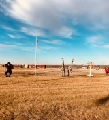 2018-01-27_14_37_52_1701668147210630652_666908117.jpg