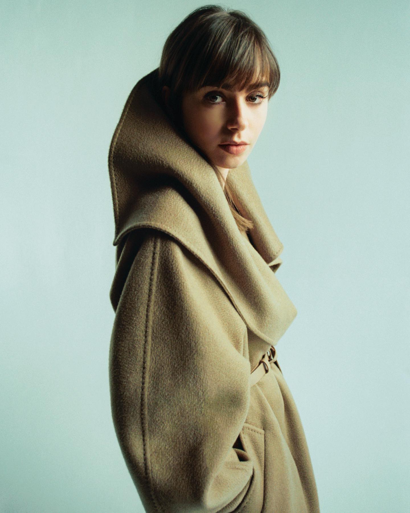 323962995_lily-5.jpg