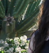 NYLON_TV___LILY_COLLINS_095.jpg
