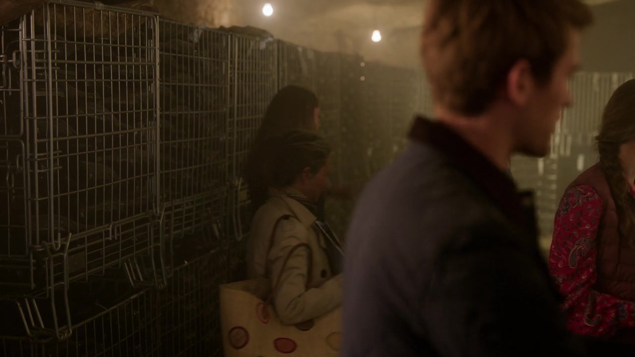 Emily_in_Paris_S01E08_Family_Affair_720p_NF_WEB-DL_DDP5_1_x264-BTN_0491.jpg