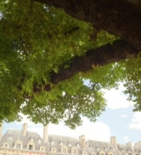 Emily_in_Paris_S02E07_WEBRip_x264-ION10_1810.jpg